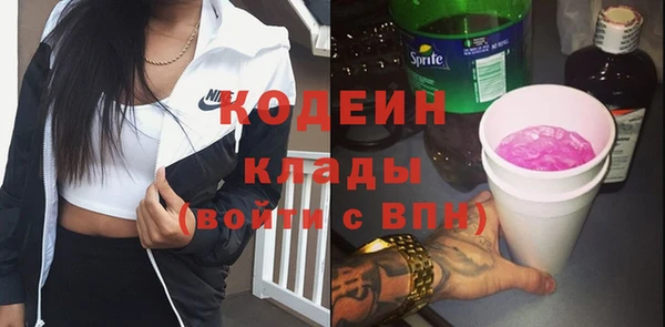 индика Балабаново