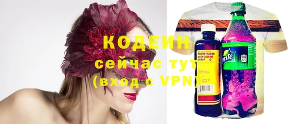 индика Балабаново
