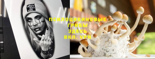 индика Балабаново