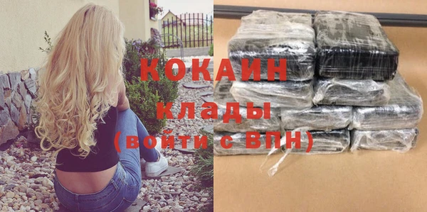 индика Балабаново