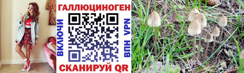 Галлюциногенные грибы MAGIC MUSHROOMS Усть-Илимск